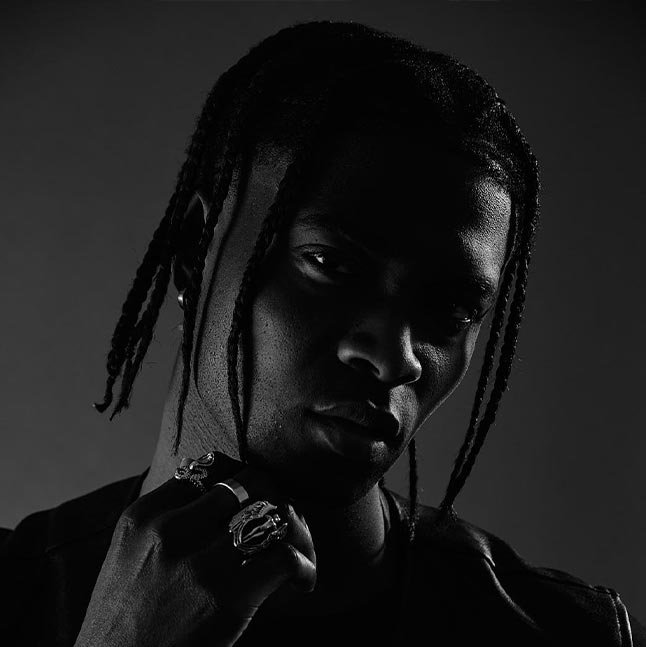 Braids, low-key portrait